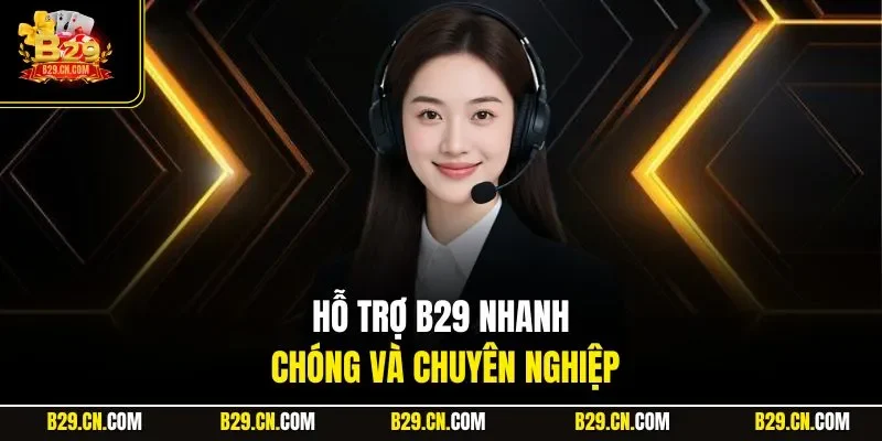 Hỗ trợ B29 nhanh chóng và chuyên nghiệp