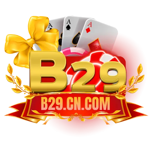 B29