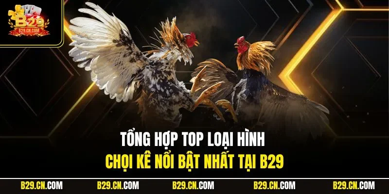 Tổng hợp top loại hình chọi kê nổi bật nhất tại B29